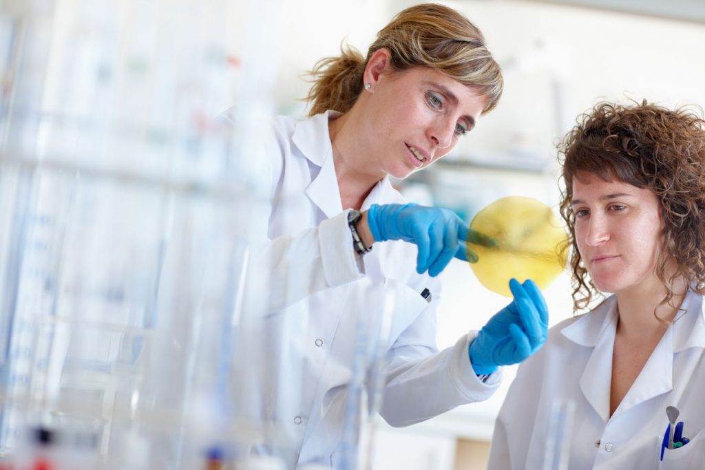 Laboratorio de conservación de alimentos